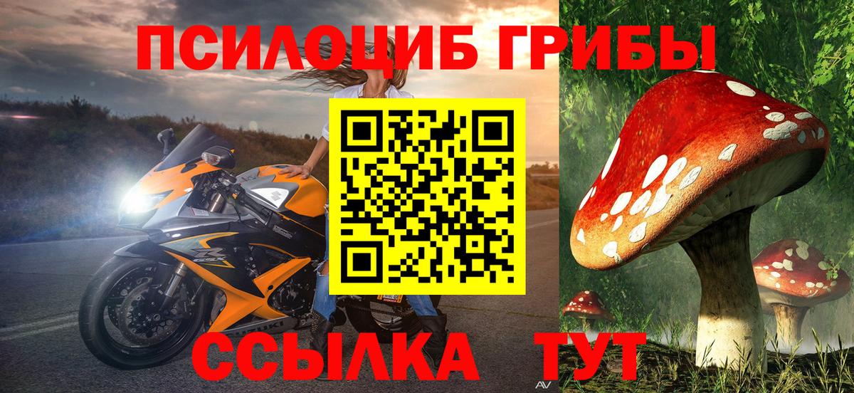Углич  Галлюциногенные грибы Psilocybine cubensis  Вход с VPN 