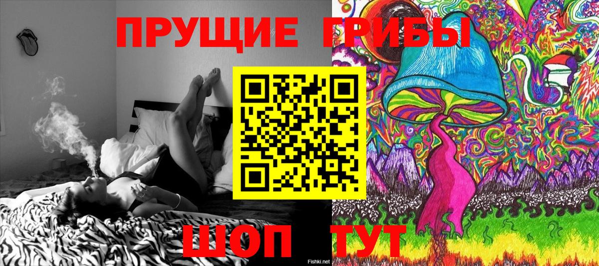 Галлюциногенные грибы Cubensis Углич
